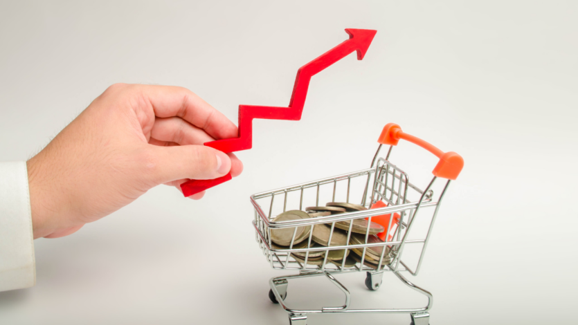 Pouvoir d'achat et QVT pou les CSE